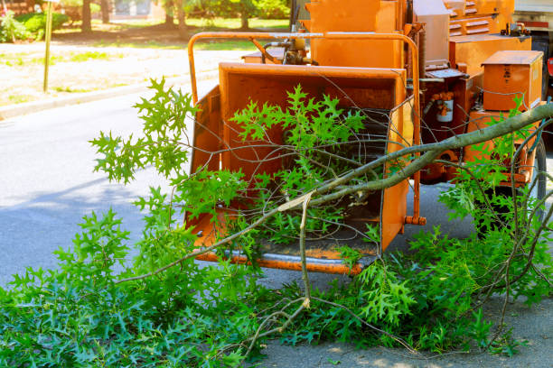 Mulching Services in Junction City, OR
